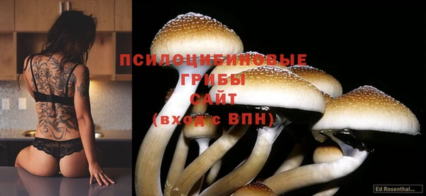 Альфа ПВП Армянск