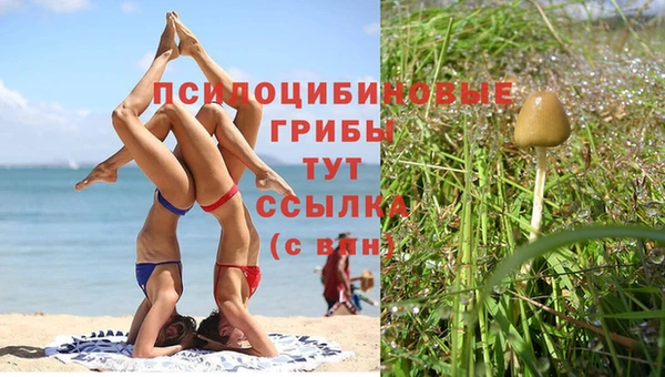 винт Баксан