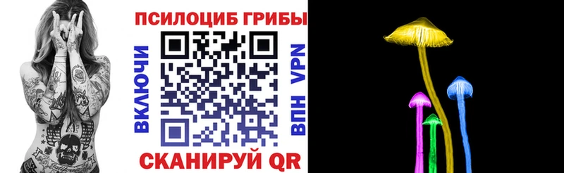 KRAKEN как войти  Полевской  Галлюциногенные грибы мухоморы 